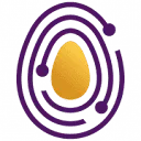Logo van NLfunding