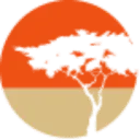 Logo Big Five for Life International