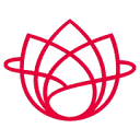 Logo Roosevelt Institute for American Studies