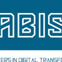 Logo Sabisu Advisory