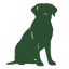 Logo Dogs Talk Hondentraining AND Gedrag