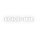 Logo Boilrs Hub