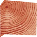 Logo van Paula Ackermann