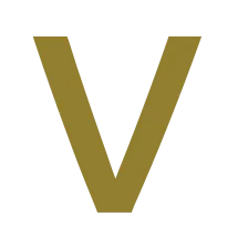 Logo Vereniging Jonge Professionals Personenschade VJPP
