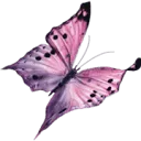 Logo Praktijk de Opwaartse Spiraal
