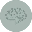 Logo Breinwijzers