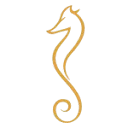 Logo The Yachting Network