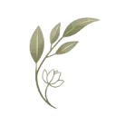 Logo Serenity Psychology