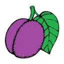 Logo Voeding AND Z