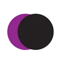 Logo Nederlandse Filmacademie