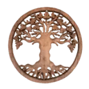 Logo Fibro Reset Methode