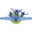 Logo IKC Albert Plesman