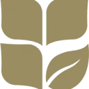 Logo Van der Moolen Noodle AND Pasta Solutions
