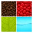 Logo FOOX Bergsma Franeker BV