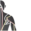 Logo Let's Bodytec