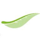 Logo Zweeds Home