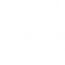 Logo NAUD Group