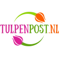 Logo Tulpenpost