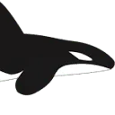 Logo OrcaCare