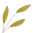 Logo DENKADVISEREN.NL