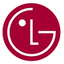 Logo LG Information Display Benelux