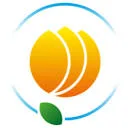 Logo Pit Pure Power