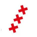 Logo Fysio Punt Zuid