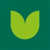 Logo Tulpen.nl