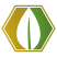 Logo Gruncoin