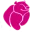 Logo Kiezen voor Kracht