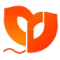 Logo CDR International
