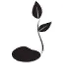 Logo GrowingStories