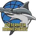 Logo Zoetermeer Hammerheads
