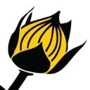 Logo Lino BV