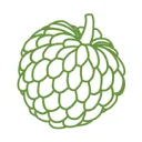 Logo Custard