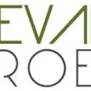 Logo Klevant Groen