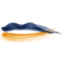 Logo ProefLokaal Limburg