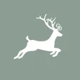 Logo Michel's import-export B.V. / It's all about Christmas
