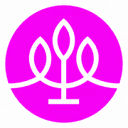 Logo Treeconnections
