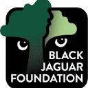 Logo Black Jaguar Foundation