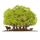 Logo Boeren in het Bos - Grasgevoerd natuurvlees van ècht gezonde dieren
