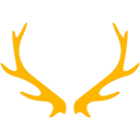Logo Noordelijk Film Festival