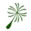 Logo Aurelia cg