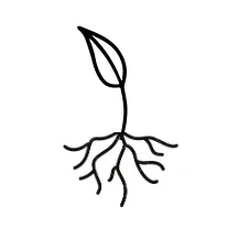 Logo Root AND Rise