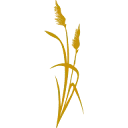 Logo van De Vries Cornjum b.v.