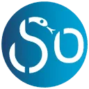 Logo Ouderengeneeskunde.nu