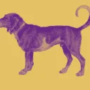 Logo DutchSloeGin
