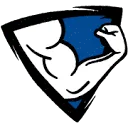 Logo van Stichting De Dappere Strijder
