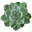 Logo OVATA by nature