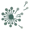 Logo breezin'